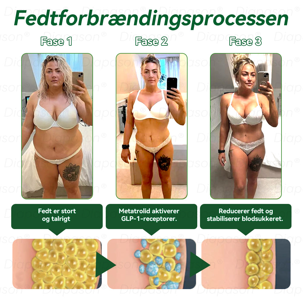 Officiel Butik | Diapason® GLP-1 9 I 1 Sundhedsløsning Oral Væske 🌿 Formel til beskyttelse mod kronisk sygdom 💎