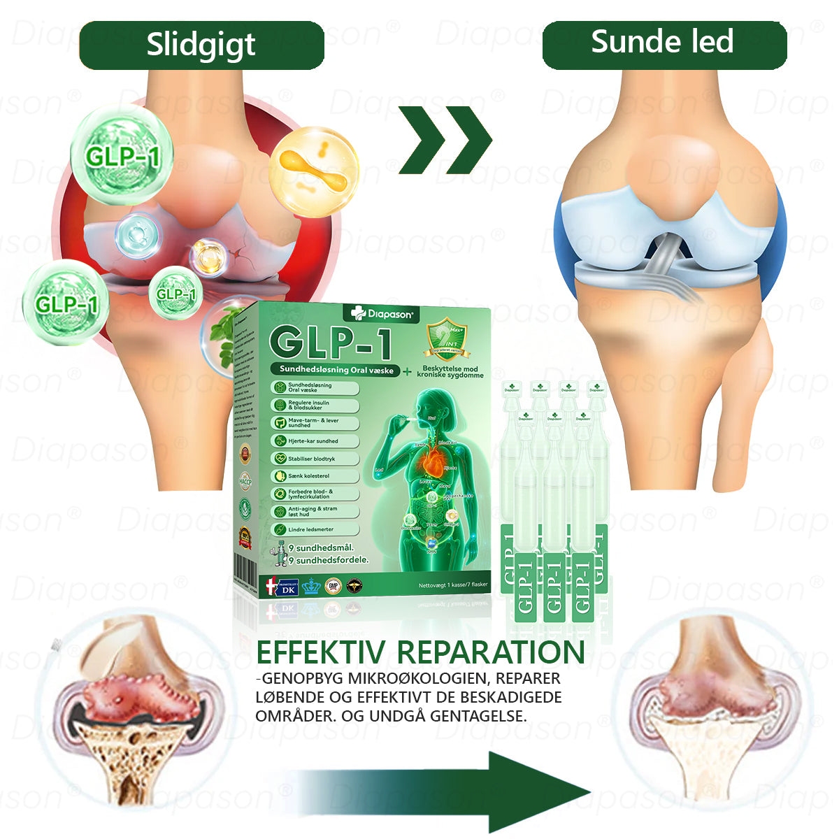 Officiel Butik | Diapason® GLP-1 9 I 1 Sundhedsløsning Oral Væske 🌿 Formel til beskyttelse mod kronisk sygdom 💎